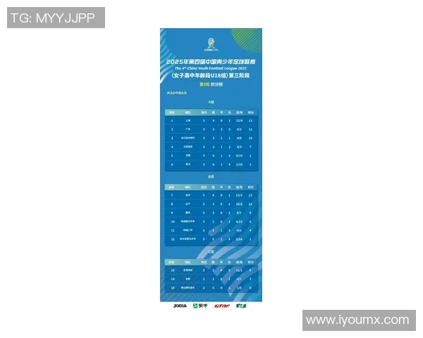 杭州足球队表现卓越最新耐力排行榜揭晓前十名球队一览